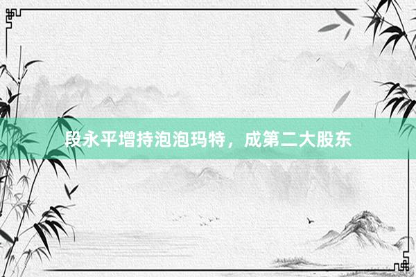 段永平增持泡泡玛特，成第二大股东