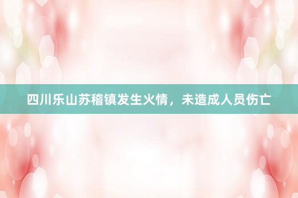 四川乐山苏稽镇发生火情，未造成人员伤亡