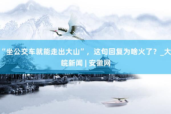 “坐公交车就能走出大山”，这句回复为啥火了？_大皖新闻 | 安徽网