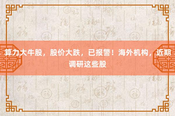算力大牛股，股价大跌，已报警！海外机构，近期调研这些股