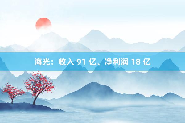 海光：收入 91 亿、净利润 18 亿