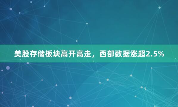 美股存储板块高开高走，西部数据涨超2.5%