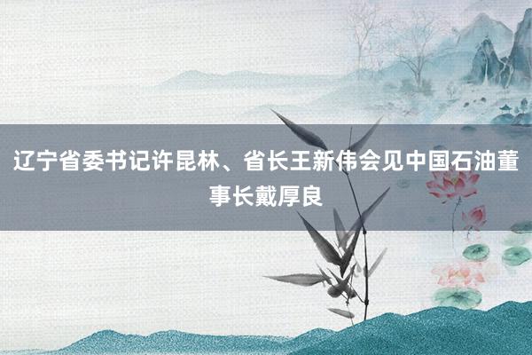 辽宁省委书记许昆林、省长王新伟会见中国石油董事长戴厚良