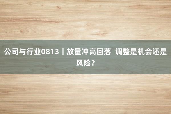 公司与行业0813丨放量冲高回落  调整是机会还是风险？