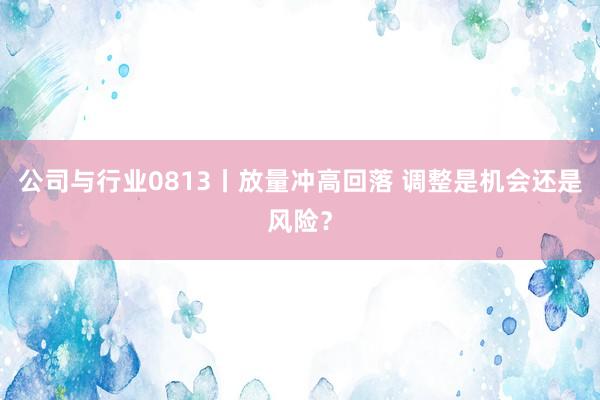 公司与行业0813丨放量冲高回落 调整是机会还是风险？