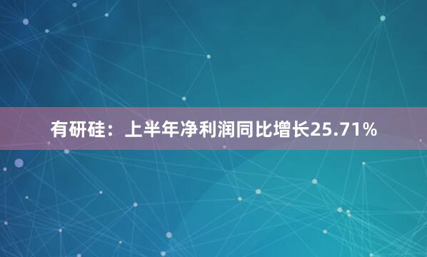 有研硅：上半年净利润同比增长25.71%