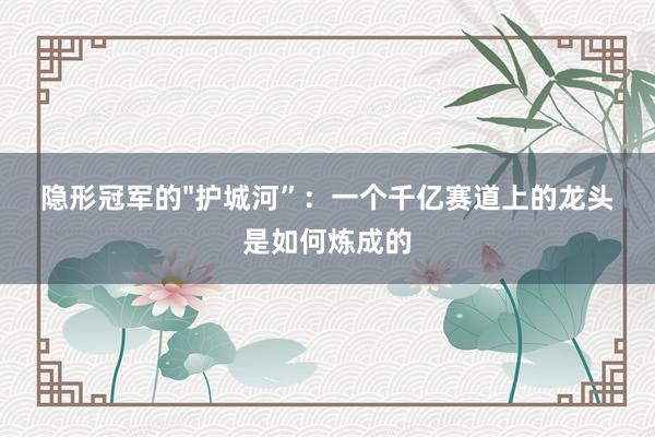 隐形冠军的"护城河”：一个千亿赛道上的龙头是如何炼成的