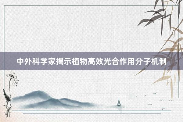中外科学家揭示植物高效光合作用分子机制