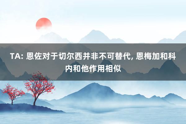 TA: 恩佐对于切尔西并非不可替代, 恩梅加和科内和他作用相似