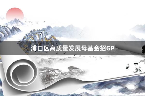 浦口区高质量发展母基金招GP