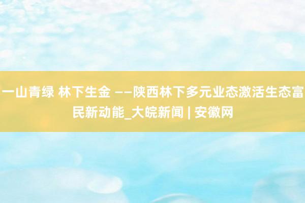 一山青绿 林下生金 ——陕西林下多元业态激活生态富民新动能_大皖新闻 | 安徽网