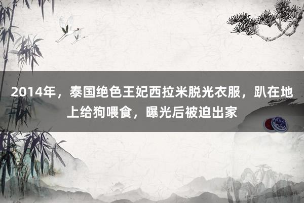 2014年，泰国绝色王妃西拉米脱光衣服，趴在地上给狗喂食，曝光后被迫出家