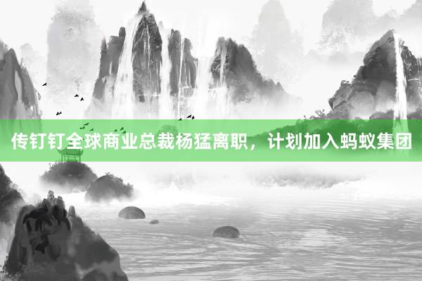 传钉钉全球商业总裁杨猛离职，计划加入蚂蚁集团