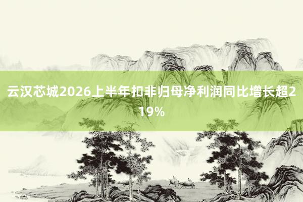 云汉芯城2026上半年扣非归母净利润同比增长超219%