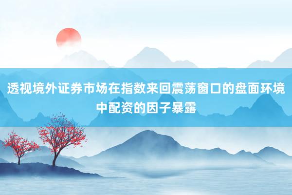 透视境外证券市场在指数来回震荡窗口的盘面环境中配资的因子暴露