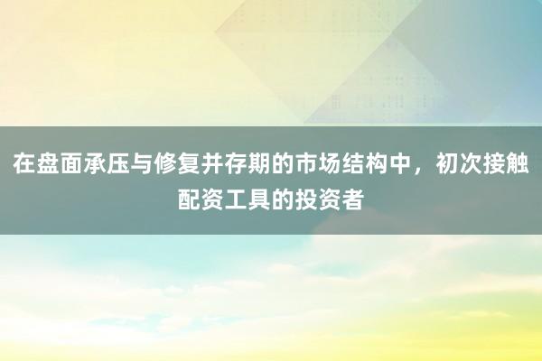 在盘面承压与修复并存期的市场结构中，初次接触配资工具的投资者