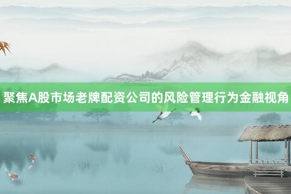 聚焦A股市场老牌配资公司的风险管理行为金融视角