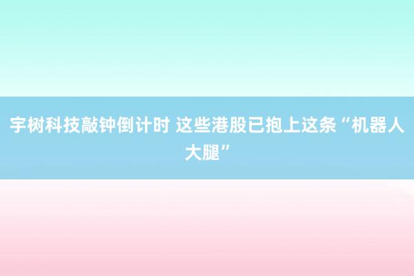 宇树科技敲钟倒计时 这些港股已抱上这条“机器人大腿”