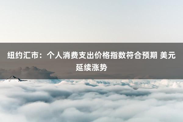 纽约汇市：个人消费支出价格指数符合预期 美元延续涨势