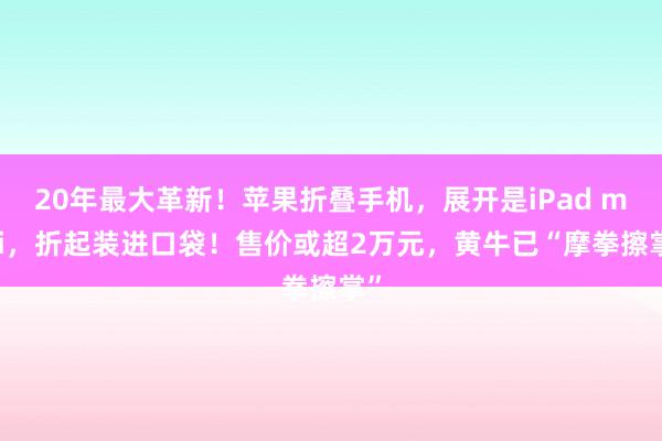 20年最大革新！苹果折叠手机，展开是iPad mini，折起装进口袋！售价或超2万元，黄牛已“摩拳擦掌”