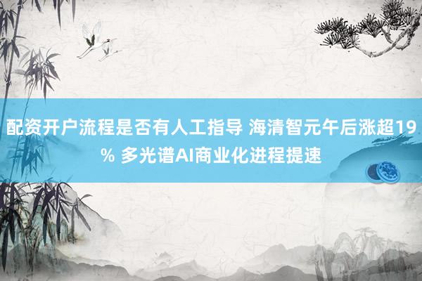 配资开户流程是否有人工指导 海清智元午后涨超19% 多光谱AI商业化进程提速