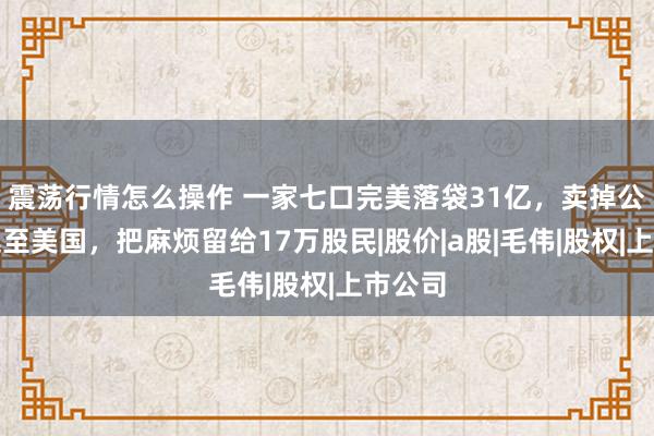 震荡行情怎么操作 一家七口完美落袋31亿，卖掉公司后逃至美国，把麻烦留给17万股民|股价|a股|毛伟|股权|上市公司