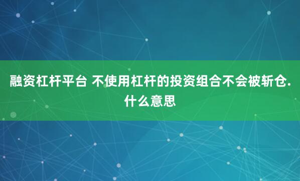 融资杠杆平台 不使用杠杆的投资组合不会被斩仓.什么意思