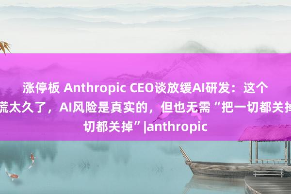 涨停板 Anthropic CEO谈放缓AI研发：这个行业对人们撒谎太久了，AI风险是真实的，但也无需“把一切都关掉”|anthropic