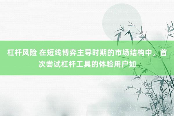 杠杆风险 在短线博弈主导时期的市场结构中，首次尝试杠杆工具的体验用户如