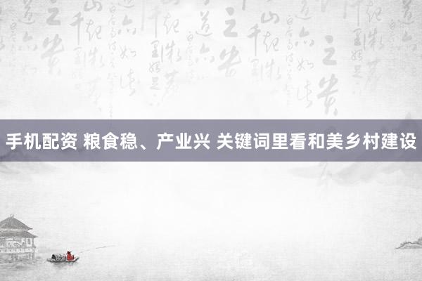 手机配资 粮食稳、产业兴 关键词里看和美乡村建设