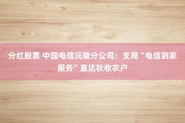 分红股票 中国电信沅陵分公司：支局“电信到家服务”直达秋收农户