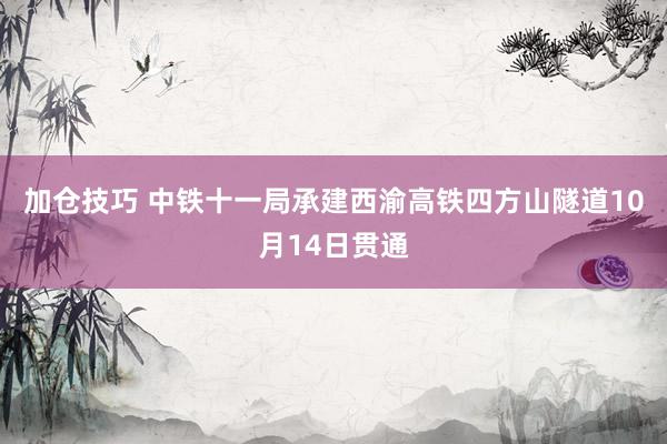 加仓技巧 中铁十一局承建西渝高铁四方山隧道10月14日贯通